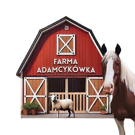 Apartamenty Adamcykowka Blisko Velo Czorsztyn! Kluszkowce Ngoại thất bức ảnh
