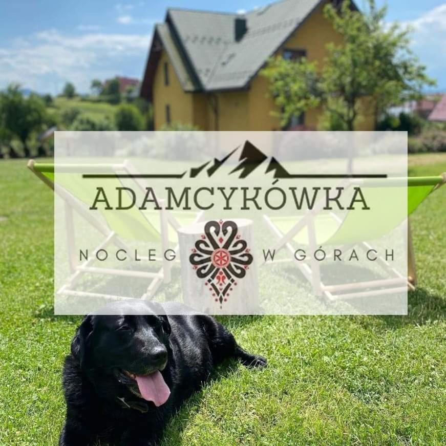 Apartamenty Adamcykowka Blisko Velo Czorsztyn! Kluszkowce Ngoại thất bức ảnh