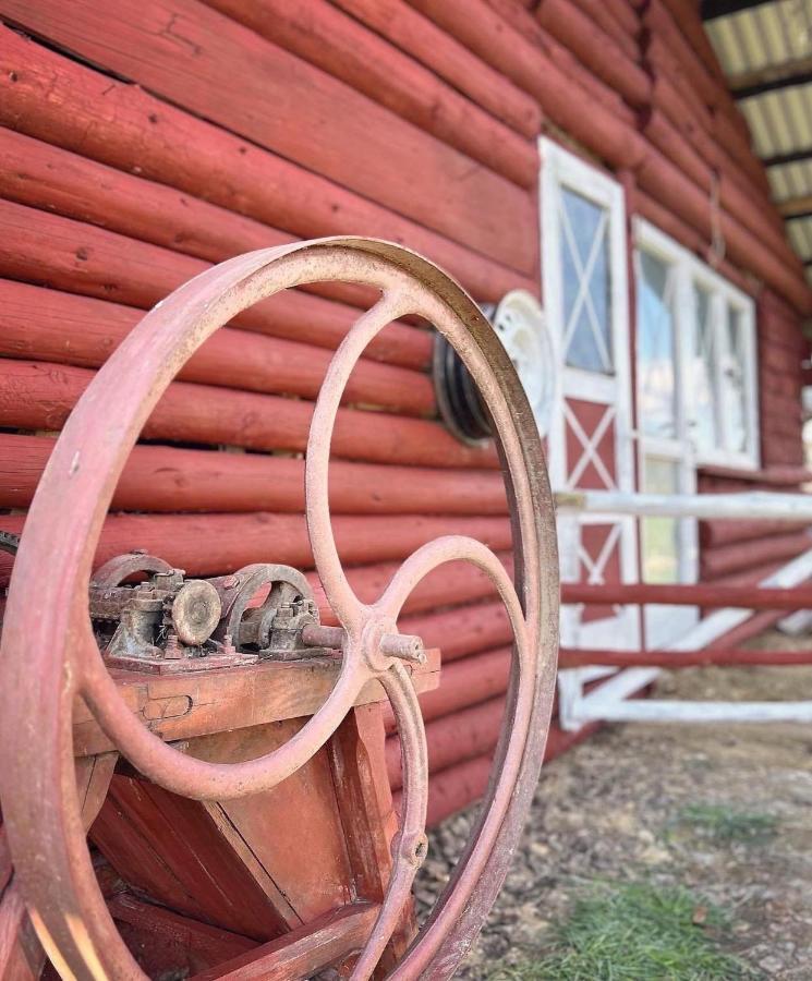 Apartamenty Adamcykowka Blisko Velo Czorsztyn! Kluszkowce Ngoại thất bức ảnh
