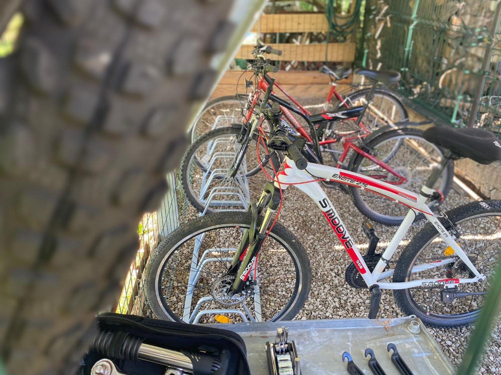 Apartamenty Adamcykowka Blisko Velo Czorsztyn! Kluszkowce Ngoại thất bức ảnh