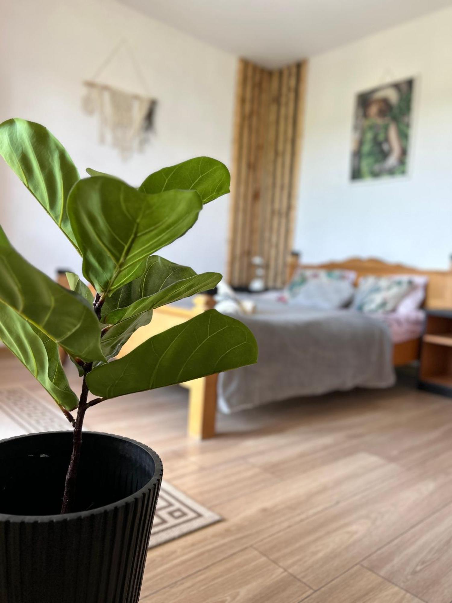 Apartamenty Adamcykowka Blisko Velo Czorsztyn! Kluszkowce Ngoại thất bức ảnh